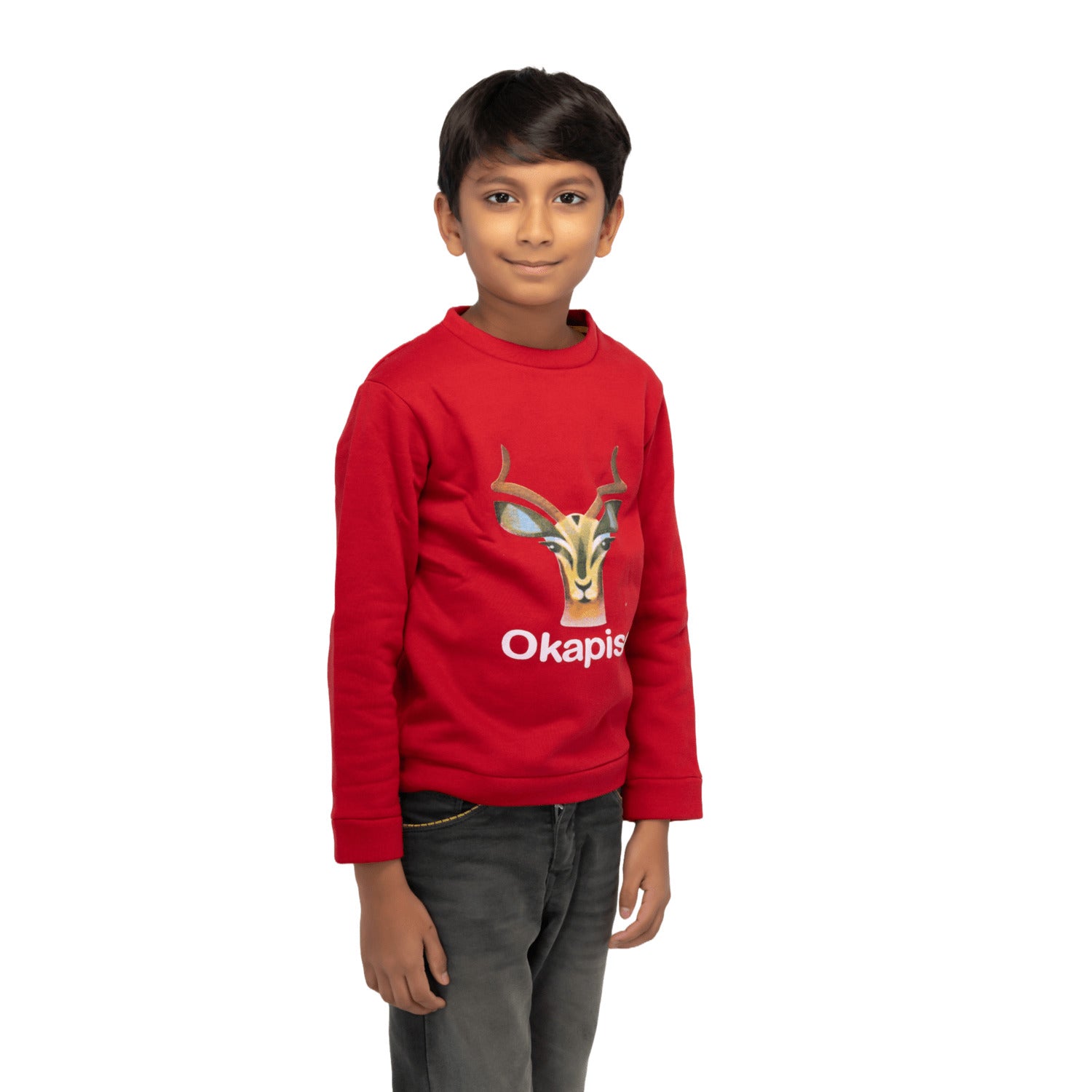 Radprix Boys Red Printed Fashion Sweatshirt