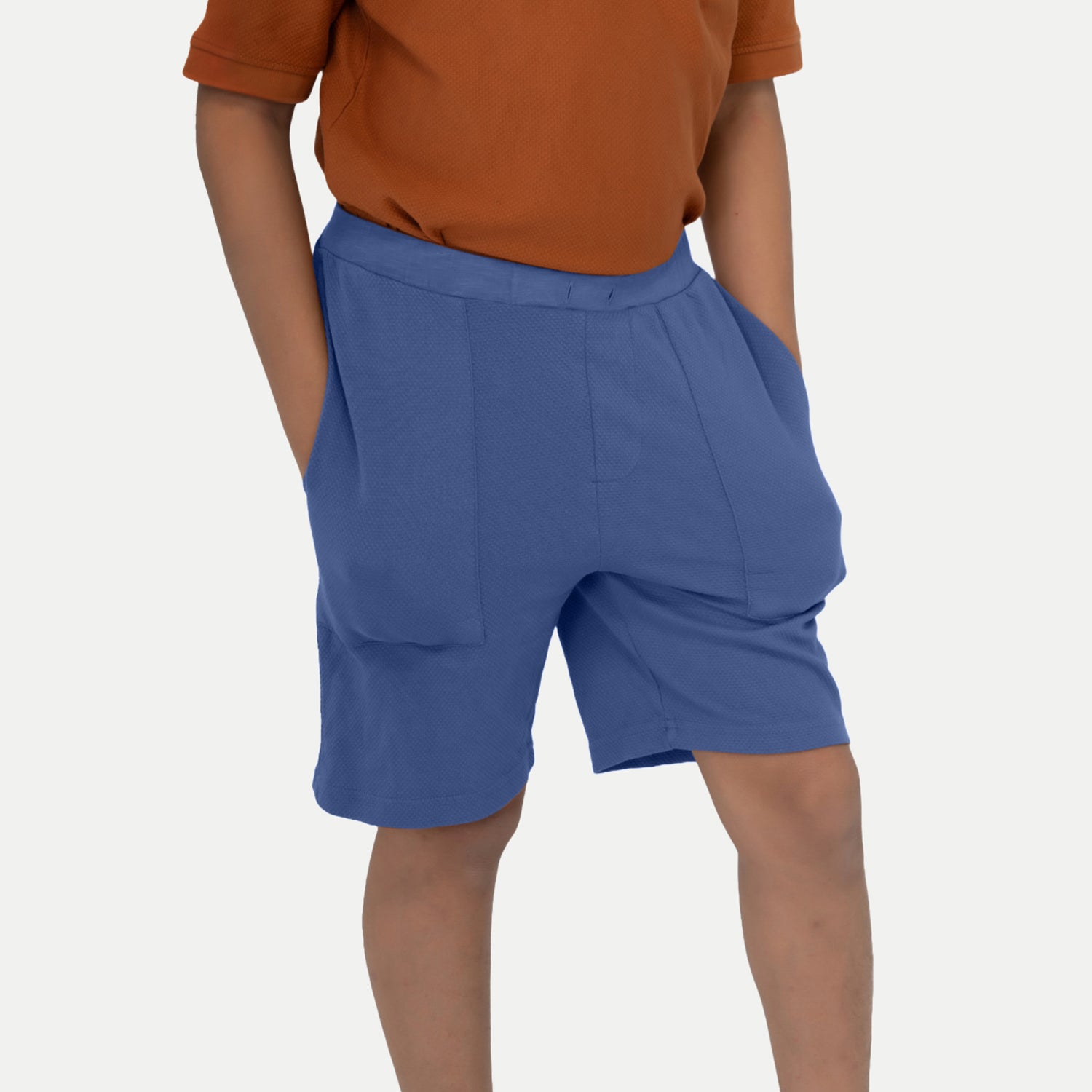 Radprix Boys Solid Purple Cotton Shorts